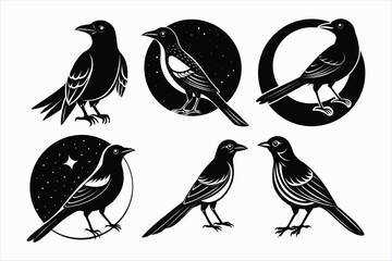 Set of twilight jay bird vector..