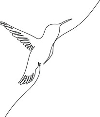Obraz premium Hummingbird in continuous line art drawing style. Animal minimalist black linear sketch isolated on white background. Vector illustration
