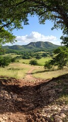 Hill Country Dirt Road View.