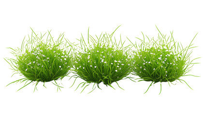Three Green Grass Tufts Adorned With Tiny Flowers Transparent