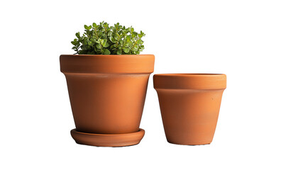 Two terracotta flowerpots, one with leafy green plant on a transparent