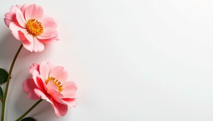 Fototapeta premium White backdrop with subtle texture, ideal for beauty product placement, surface, luxury