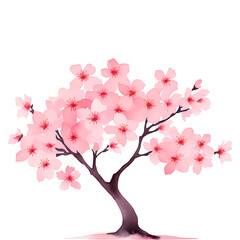 Fototapeta premium Watercolor pink cherry blossom