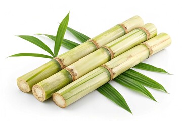 Fototapeta premium Fresh sugarcane stalks isolated on transparent background 