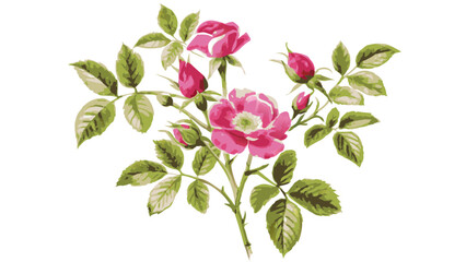 a delicate sprig of pink roses, a symbol of love and beauty. The roses are in full bloom, their petals soft and velvety, with unopened buds waiting to unfurl. The green leaves provide a lush backdrop.