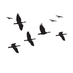 Fototapeta premium Flying birds silhouettes on transparent background. Vector illustration