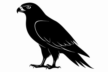 eurasian marsh harrier silhouette vector