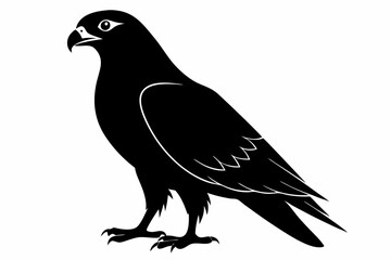eurasian marsh harrier silhouette vector