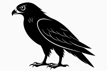 eurasian marsh harrier silhouette vector