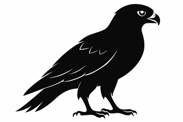 eurasian marsh harrier silhouette vector