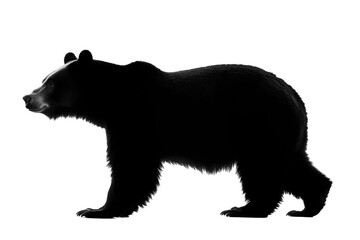 black silhouette of a bear walking isolated png transparent cutout
