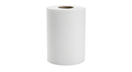 Isolated White Paper Towel Roll