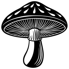 vector illustration of a mushroom