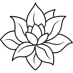 black and white lotus