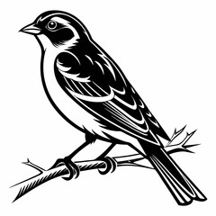 Finch silhouette black vector 