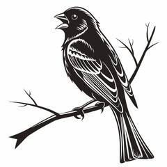 finch sihouette black vector 