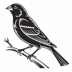 finch sihouette black vector 