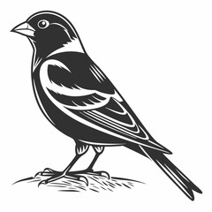 Finch silhouette black vector 