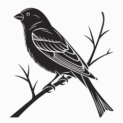 finch sihouette black vector 
