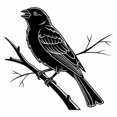 finch sihouette black vector 