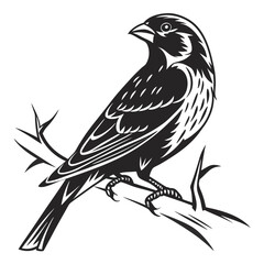 Finch silhouette black vector 