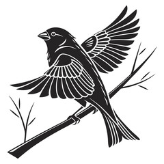 finch sihouette black vector 
