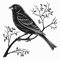 Finch silhouette black vector 