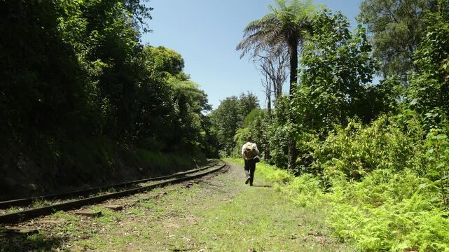 A traveling swagman walks past large fern trees on a historic Australian railway line.