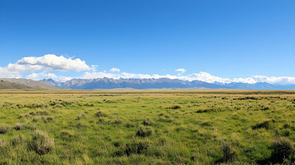 Fototapeta premium Vast Grassland Meets Distant Mountain Range Under Clear Blue Sky