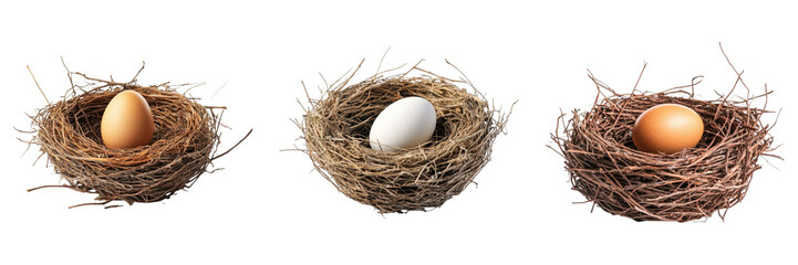 Obraz premium Bird nest with egg isolated on transparent background. PNG ,Set of