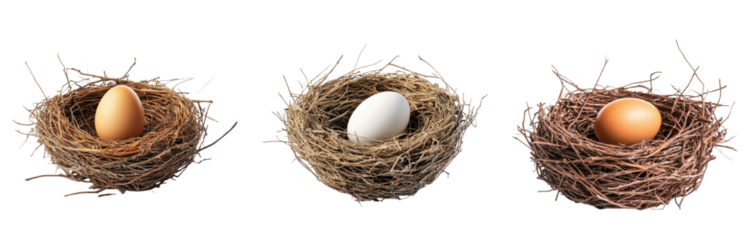 Bird nest with egg isolated on transparent background. PNG ,Set of