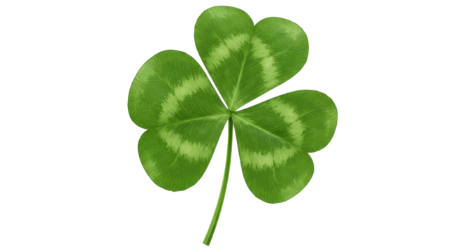 Isolated Three Leaf Clover