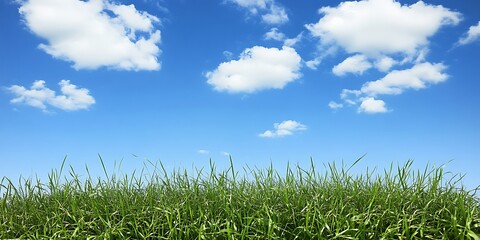 Fototapeta premium Serene landscape with vivid green meadow under bright blue sky filled clouds