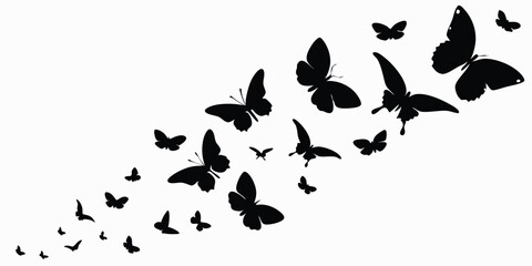 butterfly silhouette