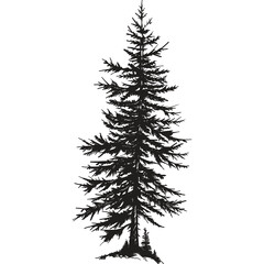 Detailed Black Silhouette of a Pine Tree