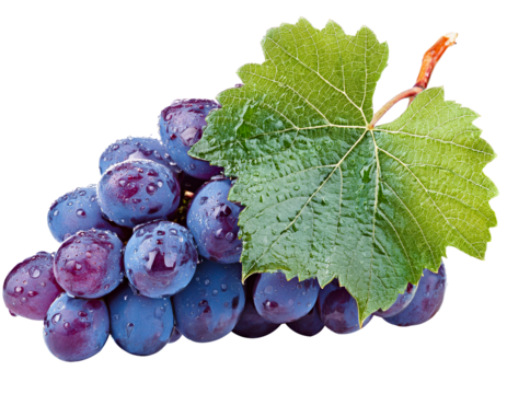 grapes