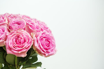 Beautiful pink roses arranged elegantly against a simple background