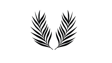 Palm Leaf Vector Background Illustration. Realistic palm tree leaf silhouette. Black shadow shape isolated on white background. Vector Illustration EPS10  © mohammad raziq