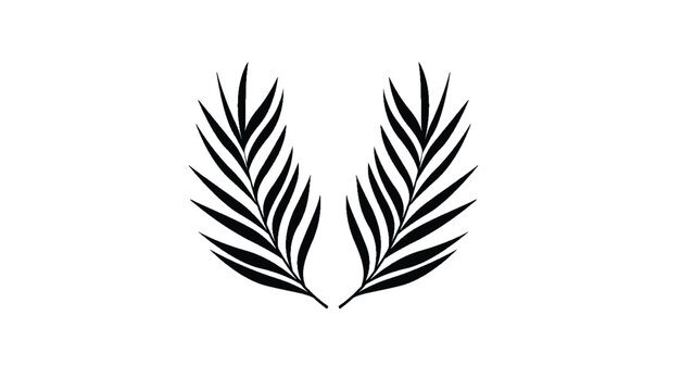 Palm Leaf Vector Background Illustration. Realistic palm tree leaf silhouette. Black shadow shape isolated on white background. Vector Illustration EPS10
