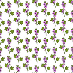 Seamless pattern with hand drawn Tree Mallow (Lavatera arborea)