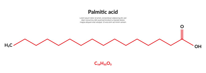 Palmitic acid or hexadecanoic, molecular structure formula, suitable for education or chemistry science content