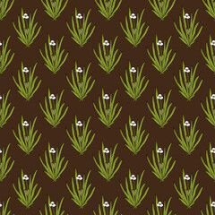 Seamless pattern with hand drawn Water soldier or water pineapple (Stratiotes aloides), aquatic medicinal plant.