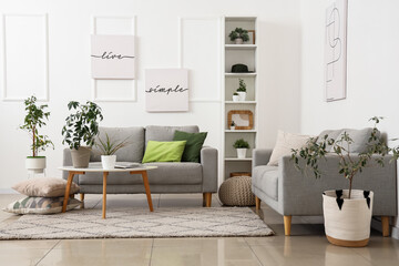 Cozy sofas with pillows, houseplants, pictures and coffee table in modern living room