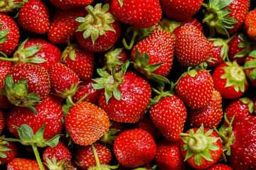 lots of ripe strawberries, view from above