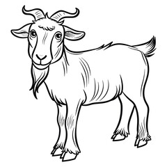 Hand-drawn Goat Illustration - Black and White Line Art