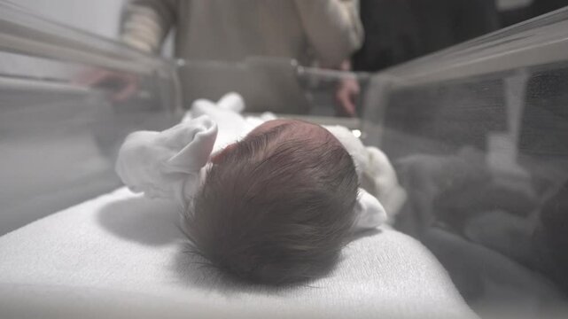 Life first moments, neonatal hospital ward, nurturing parental support