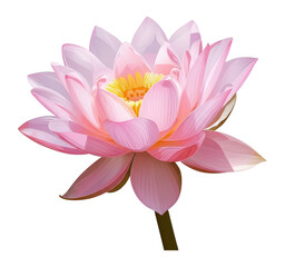 Fototapeta premium Pink Lotus Flower Illustration - Transparent PNG