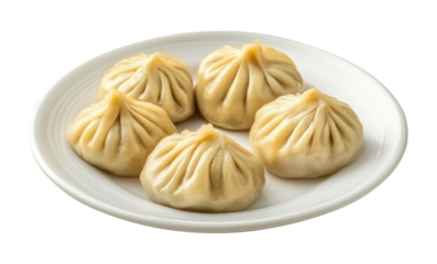 PNG One dish of 4 pieces of indian momo plate dumplings white.