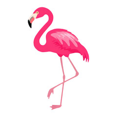 Obraz premium Pink Flamingo Illustration Graphic - Transparent Background PNG