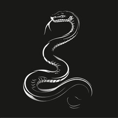 Elegant snake illustration in monochrome style against black background  